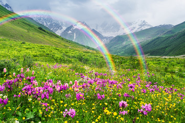 Zomerlandschap met een regenboog en bergbloemen