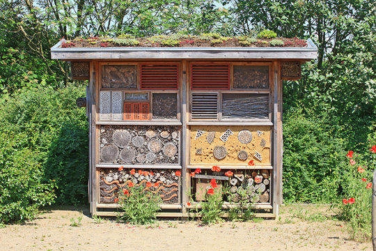 Gro&szlig;es Insektenhotel mit Mohnblumen im Vordergrund