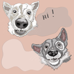 Two dogs portrait , vector illustration , on  beige background