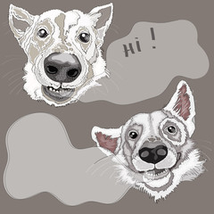 Two dogs portrait , vector illustration , on grey background