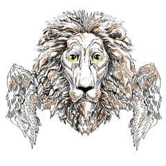 Head of a lion with wings , vector illustration on white background