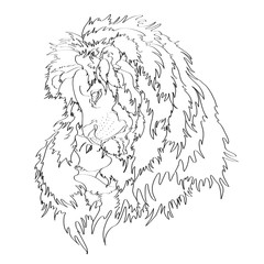 Lion and girl, vector illustration, coloring on a white background