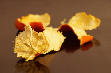 Mandarin crust is dried and isolated on a monophonic background. Zedra on the background