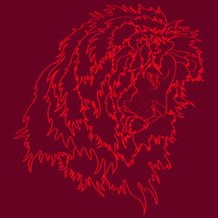  Head of a lion vector illustration , coloring on a burgundy  background