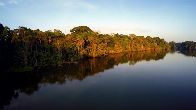 Aerial Shot Of Amazon Rainforest - Amazon 
