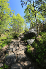 Norwegen, Preikestolen