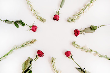 Red roses and white flowers frame on white background. Flat lay, top view