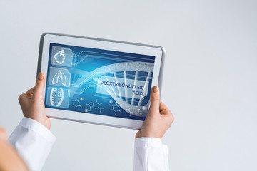 Close of female doctor hands working with tablet pc computer