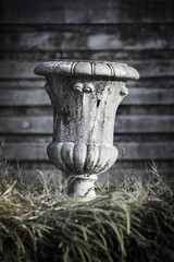 Fototapeta premium garden pot