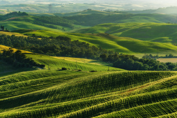 Fototapeta premium Crete Senesi place in and around Siena and Asciano in spring aura