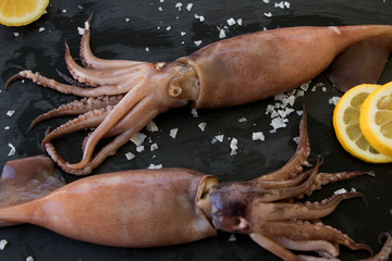 Frische Tintenfische mit Meersalz und Zitrone © katinkah