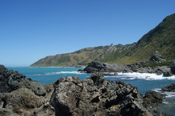 Fototapeta premium cape pallisser
