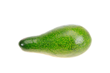 Smooth shiny avocado