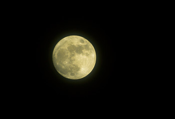 Obraz premium Fool moon