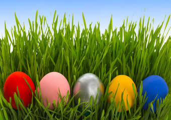 Colorful, bright easter eggs on on a fresh green grass with fragment of clear blue sky