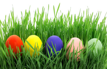 Colorful, bright easter eggs on on a fresh green grass isolated on a white background.