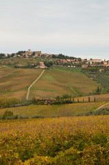 Scenic Tuscany landscape in Italy