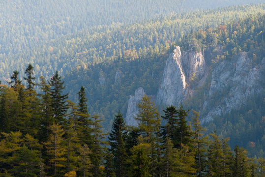 Fototapeta alpineScenery