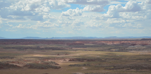 painted desert landscape