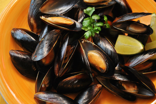 Fresh Plate of Mussels Garnished with Parsley & Lime