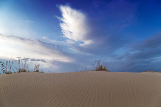 Sand dune at sunset
