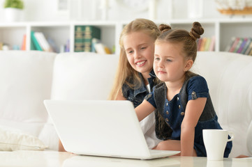 Fototapeta na wymiar two sisters using laptop