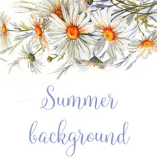 Hand-drawn watercolor floral background. Summer blossom. Tender frame with white daisies flowers. Floral template for greeting card, wedding invitation, advertisiment, banner, poster, flyer.