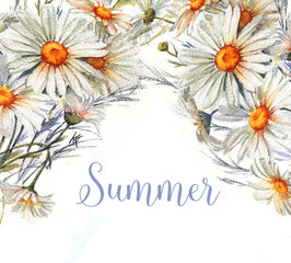 Hand-drawn watercolor floral background. Summer blossom. Tender frame with white daisies flowers. Floral template for greeting card, wedding invitation, advertisiment, banner, poster, flyer.