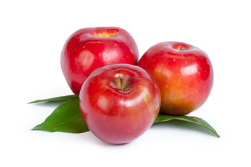 red apple isolated on the white background