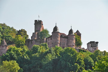 Wertheim, #6997
