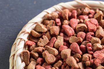 pets food on the floor