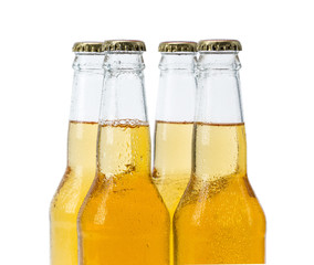 Set of beer bottles isolated