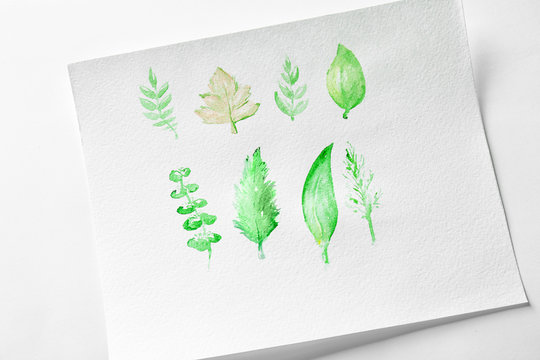Watercolor painting of leaves on album sheet