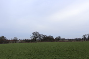 Lintel in Osterholz-Scharmbeck im Winter