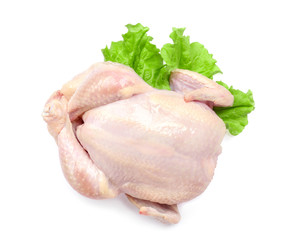 Whole raw chicken on white background