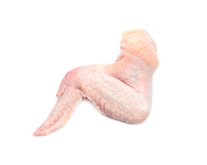 Fresh raw chicken wing on white background