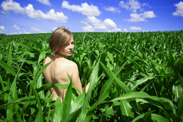 Nude girl in a field of green corn leaves - obrazy, fototapety, plakaty
