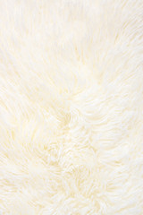 Shaggy fur texture