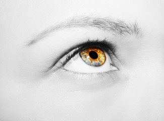 A beautiful insightful look woman's eye. Close up shot