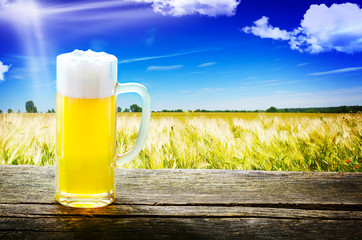 Frisch gezapftes Bier auf Holztisch vor Getreidefeld