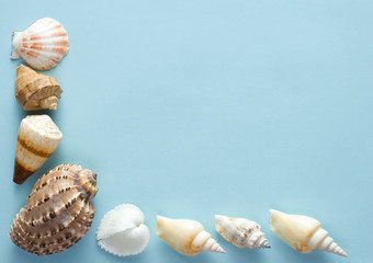 Seashells on a sheet of shaggy paper