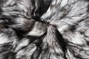 Background of a fur texture of expensive fur-bearing animals close-up