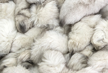 Background of a fur texture of expensive fur-bearing animals close-up