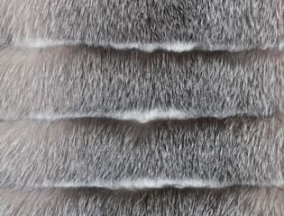 Background of a fur texture of expensive fur-bearing animals close-up