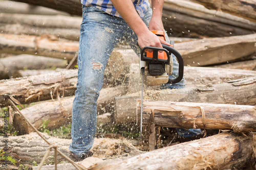 Wall mural Guy cuts wood with a chainsaw