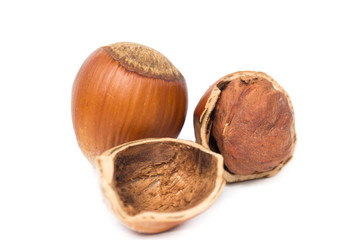 hazelnut close-up on white