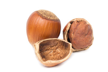 hazelnut close-up on white
