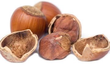 hazelnut close-up on white