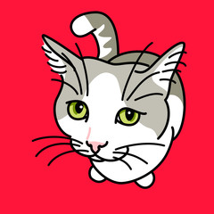 Illustration of cat