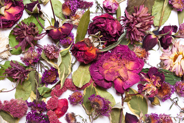  dried flowers, pink, red roses and green leaves